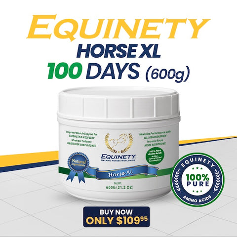 Equinety Horse XL 100 day Supply