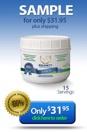 Equinety Horse XL Travel Tub 100g (15 Day Supply)